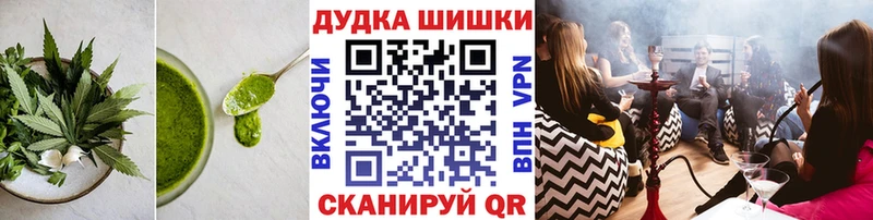 Купить где  Данилов  Canna-Cookies конопля 
