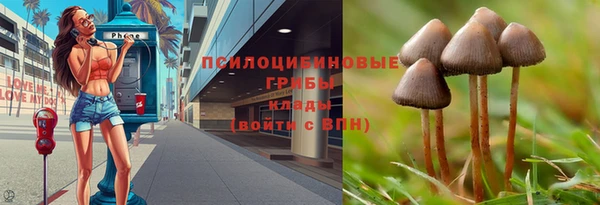трава Бронницы
