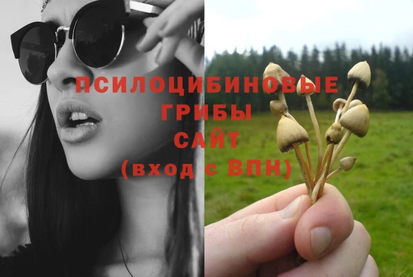 трава Бронницы