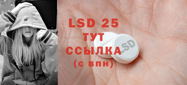 стаф Бородино