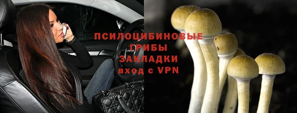 трава Бронницы