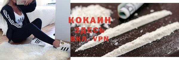 стаф Бородино