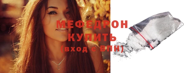 стаф Бородино