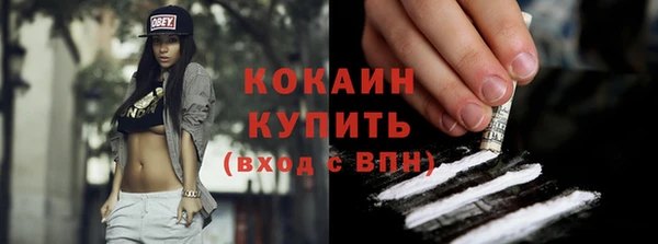 стаф Бородино