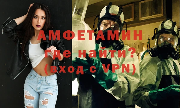 стаф Бородино