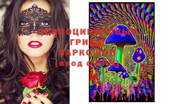 трава Бронницы
