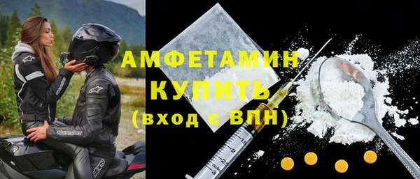 стаф Бородино