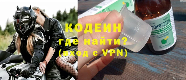стаф Бородино