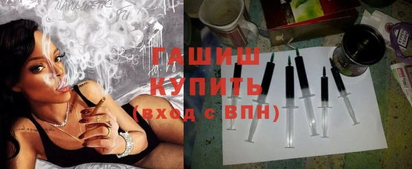 стаф Бородино