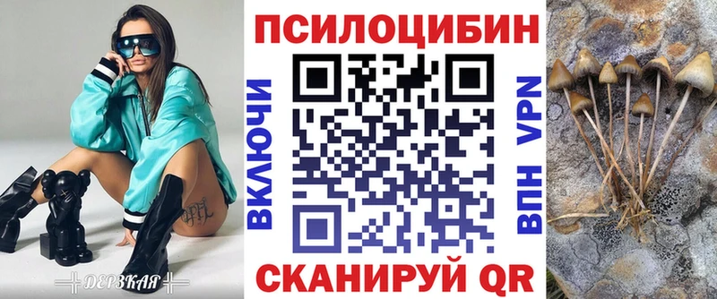 Купить закладки  Данилов  Псилоцибиновые грибы мухоморы 